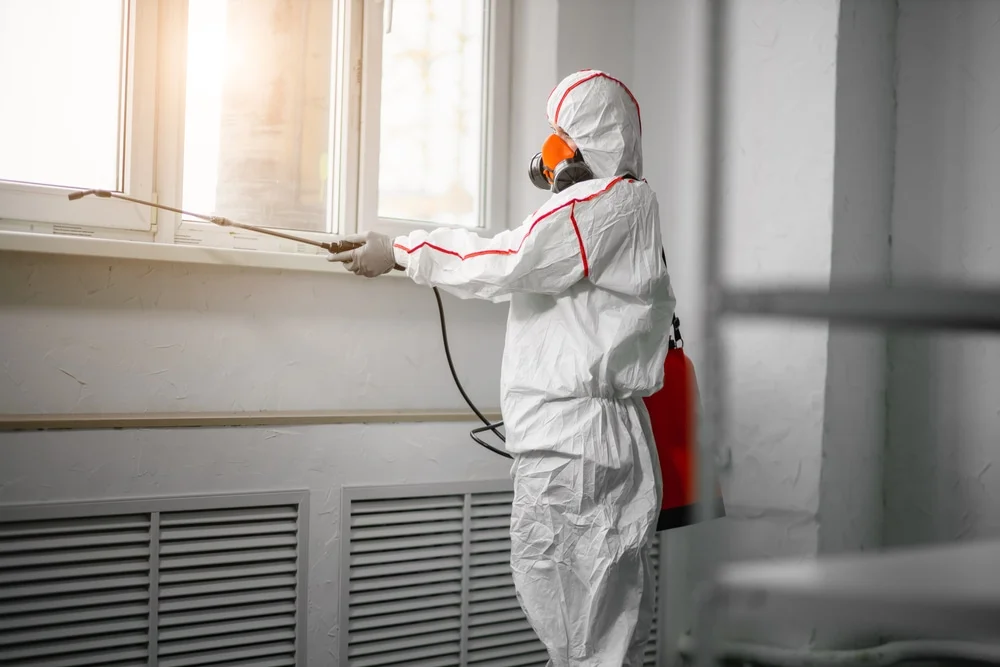 Professional mold remediation services in Twin Lakes, WI